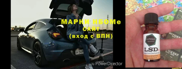 индика Баксан
