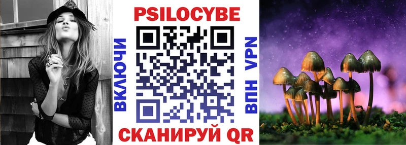 как найти закладки  Усть-Илимск  Псилоцибиновые грибы Magic Shrooms 